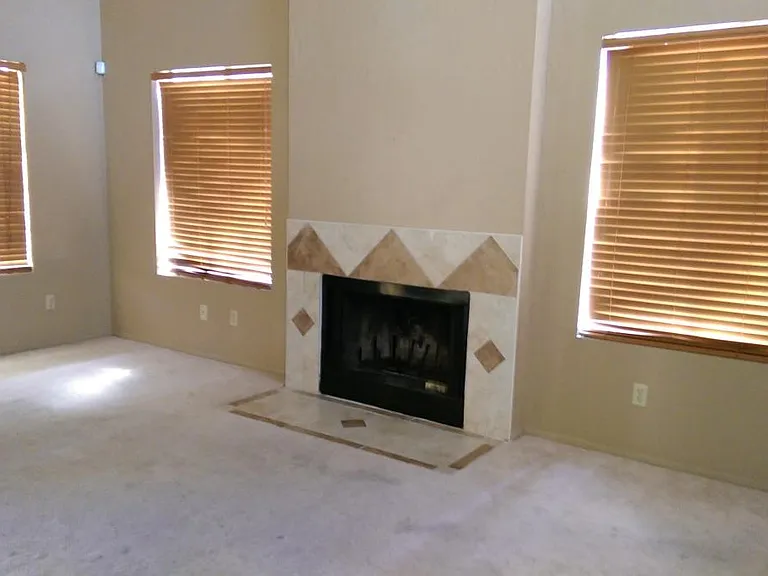 Living Room/fireplace