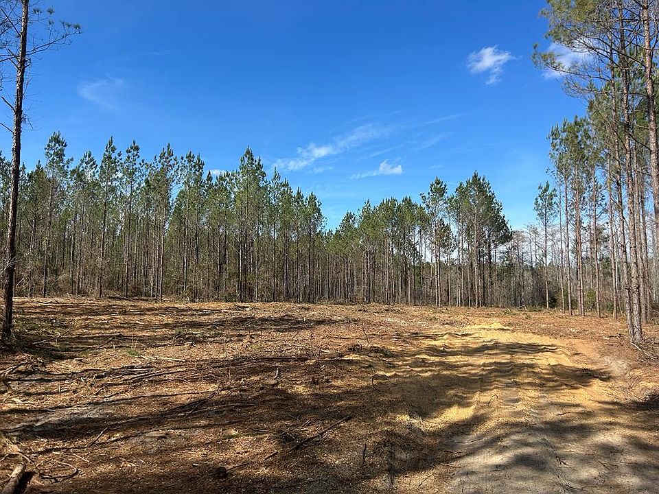 1st image of 3 Fifteen Ac Cottonwood Road Phillips Rd
