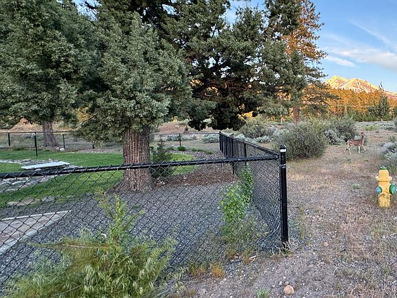 View of yard and Mount Shasta. If you look hard you can see the deer too!