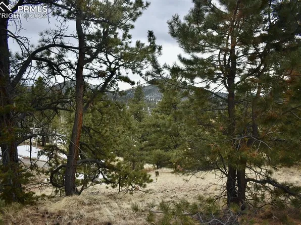 234 Wilson Way, Cripple Creek, CO 80813