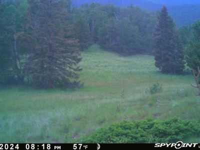 County Road 575.1, Gardner, CO, 81040