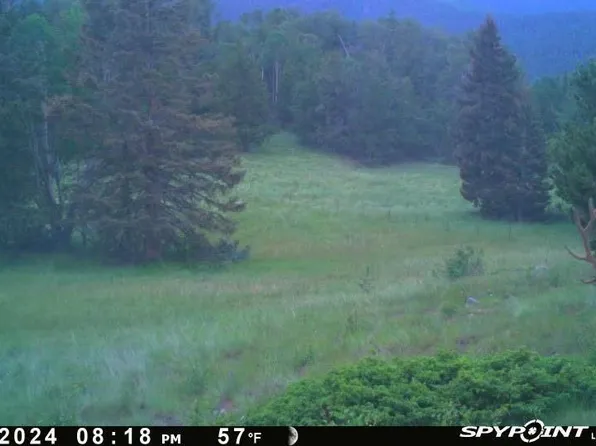 County Road 575.1, Gardner, CO 81040