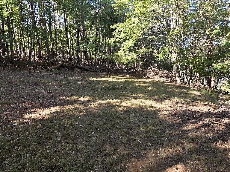297 Lakestone Rd — Photo 10