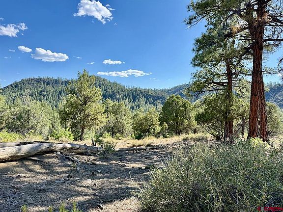 2nd image of 1280 County Road 917