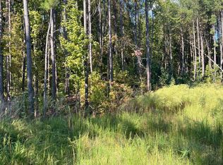 0 Jones Cousins Way, Zebulon, NC 27597