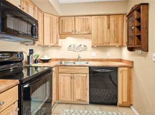 1890 Argentine Street Bldg A #303, Georgetown, CO 80444