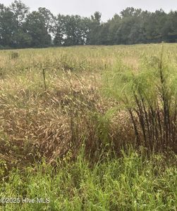 11.98 Pelham Road, Willard, NC, 28478