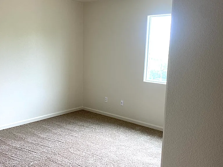 2227 Tahoe Timber Way — Photo 26
