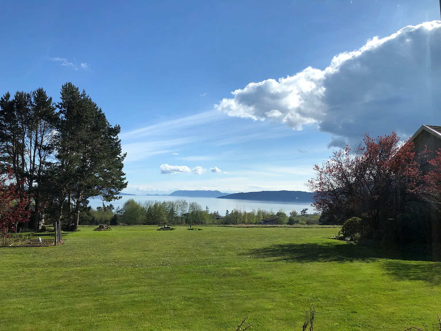 1 bed, 746 sqft, $1,650 — Photo 3