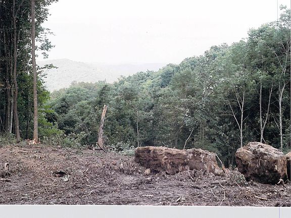 5th image of LOT B7 Little Mountain Dr