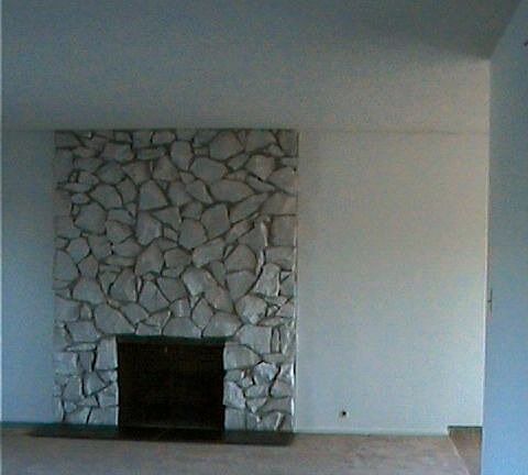 Downstairs Fireplace