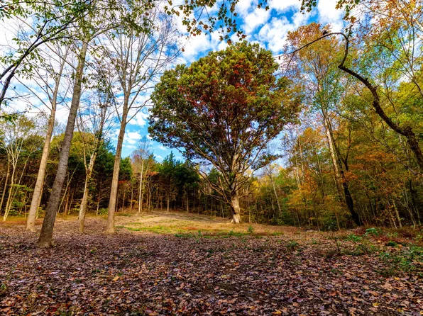 0 Robinson Rd Lot 3, Thompsons Station, TN 37179