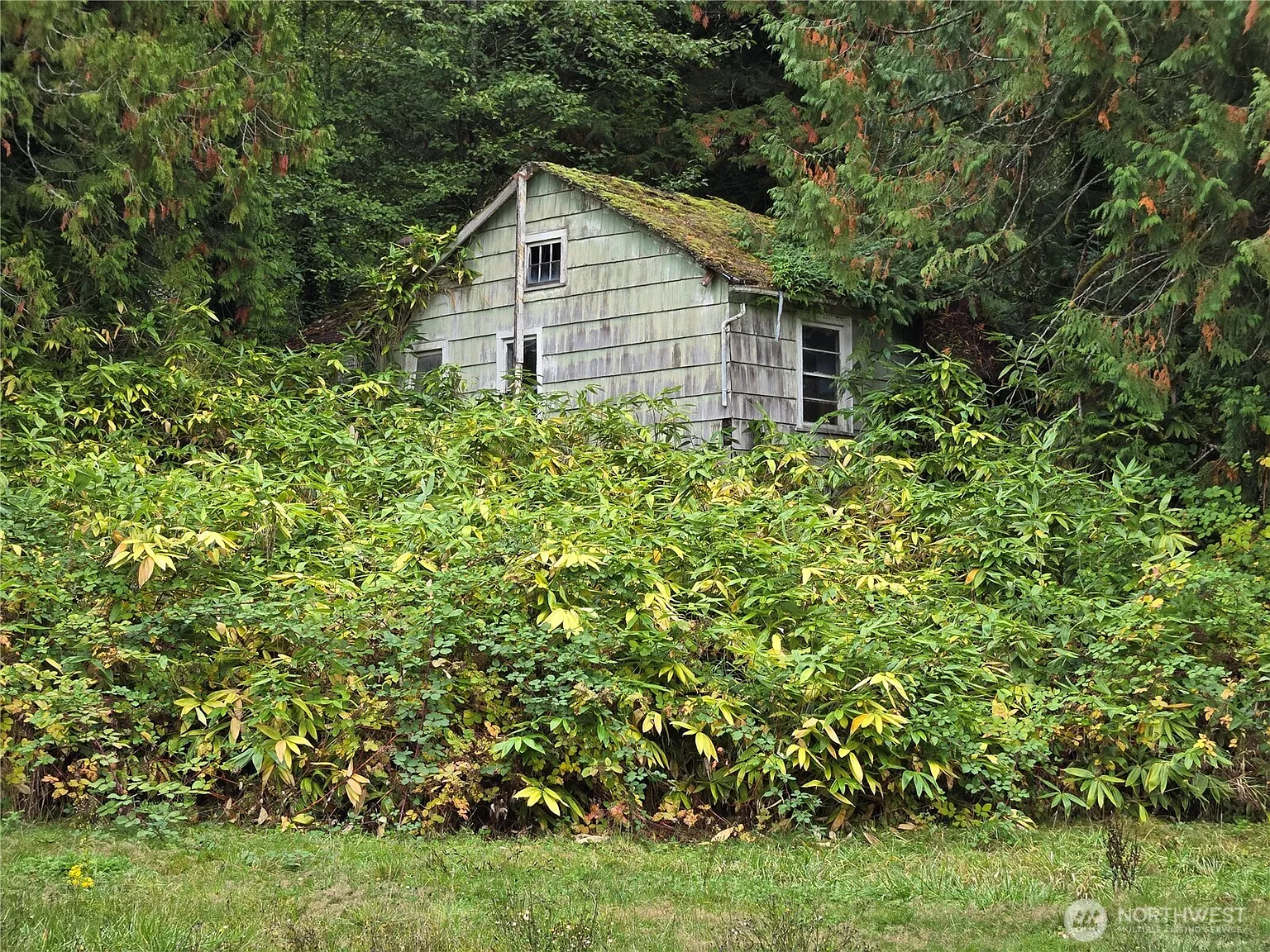 22123 NE 170th Place photo 1