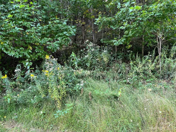 LOT 79 Carefree Cove Rd, Zionville, NC 28698