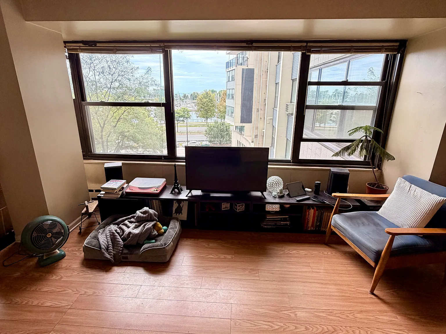 1 bed, $2,200 — Photo 4