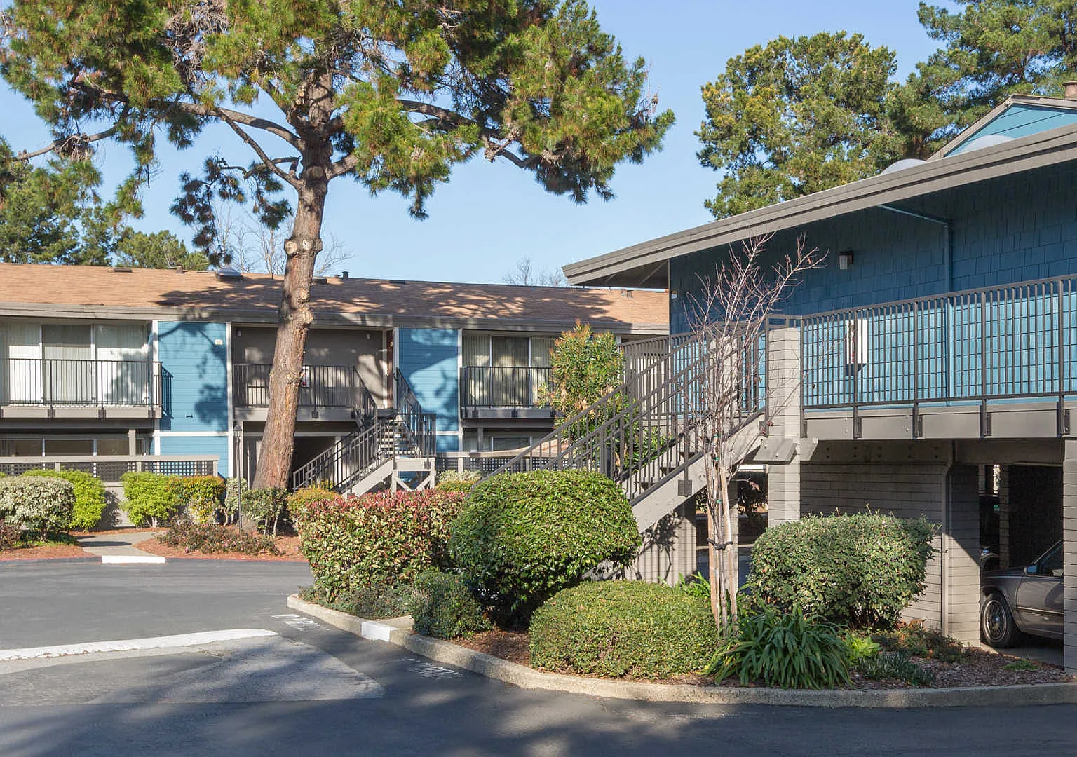 Reserve at Mountain View — Photo 3
