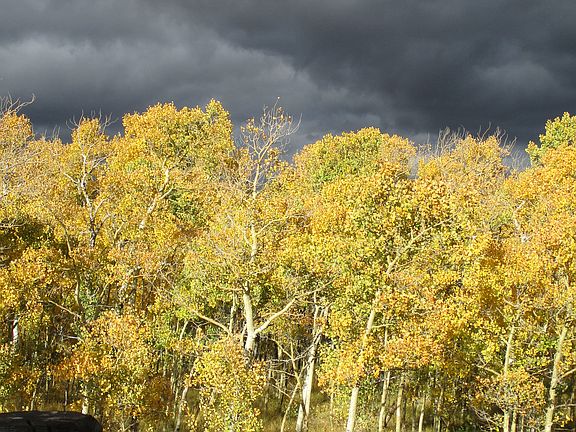 4th image of Boreas Cir
