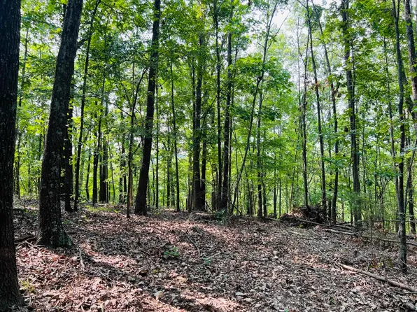 15A Lewis Ln, Melbourne, AR 72556