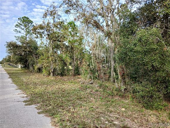 2nd image of 11755 N Belluzzi Ter