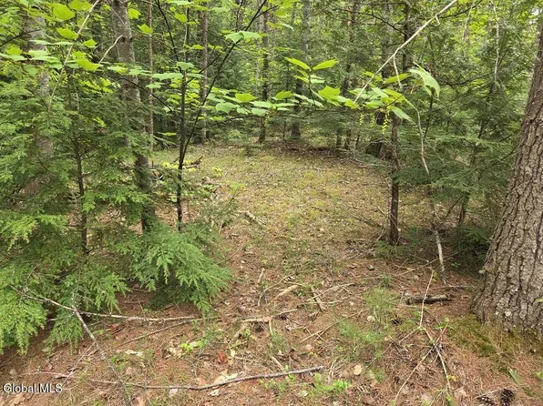 L2 & L3 Old Schroon Road, Pottersville, NY 12860