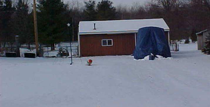 2nd image of 6860 Fort Rd