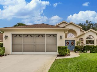 11171 Heathrow Ave, Spring Hill, FL 34609