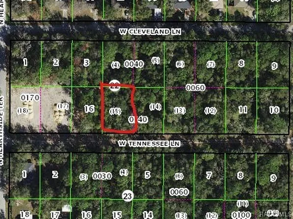 9623 N Tennessee Ln, Crystal River, FL 34428