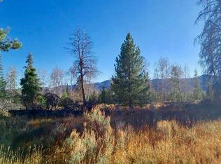 33596 Seneca Trl, Oak Creek, CO 80467