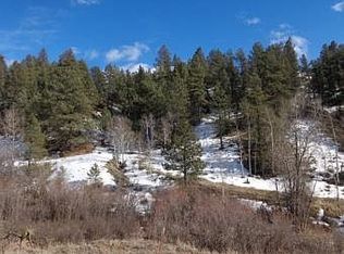 210 Valley View Dr, Florissant, CO 80816