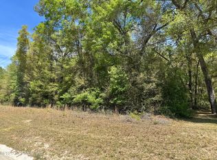 0 STATE ROAD 21, Middleburg, FL 32068