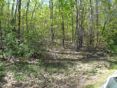 47 Delta Dr Lot 47, Franklin, NC, 28734