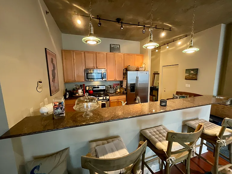 1305 S Michigan Ave #1011 — Photo 6