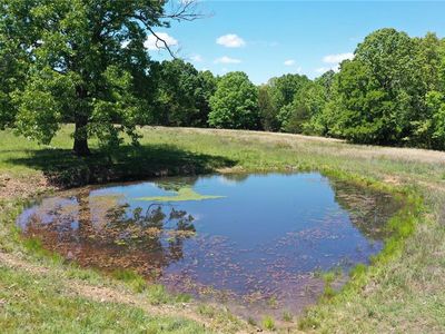 5 County Road 4215, Salem, MO, 65560