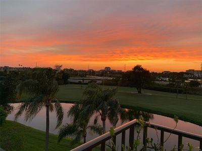 6104 Palma Del Mar Blvd S APT 504, Saint Petersburg, FL, 33715
