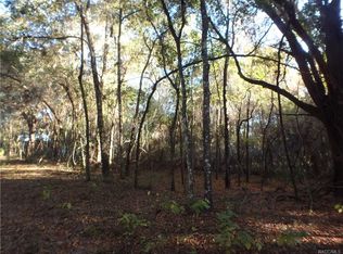 6776 E Crimson Ln, Inverness, FL 34452