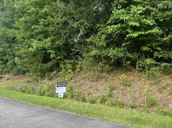 0 SKYLINE Way, Lavonia, GA 30553