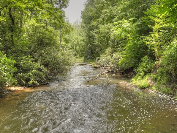 488 Whispering Pine Ln, Cherry Log, GA 30522