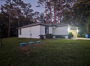 1695 Schaub Ave, Orange City, FL 32763