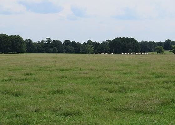 3rd image of 148 County Road 2020
