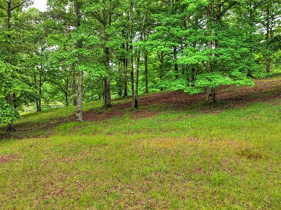 35th image of Mountain View Rd