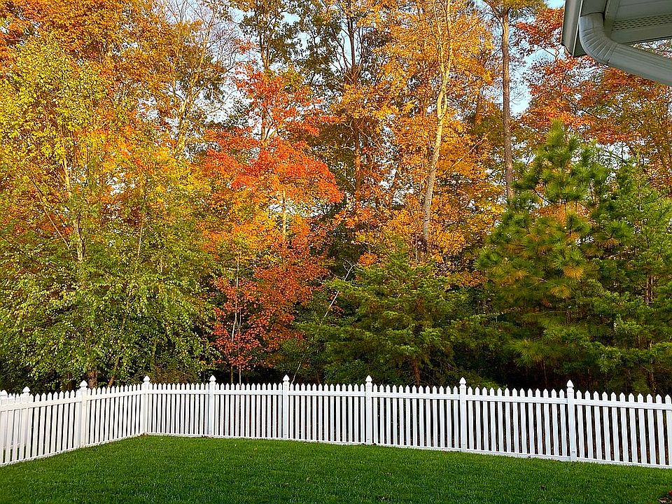 Back Yard View