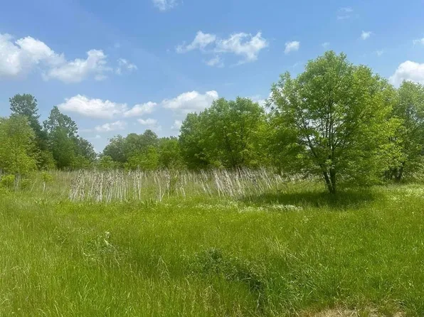 18242 Gauche Rd, Fayetteville, OH 45118