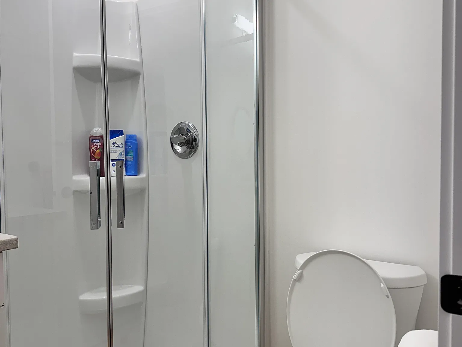 1 bedroom newly built suite, steps from UVIC, free parking — Photo 4