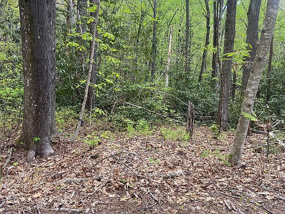 4th image of 45 Wild Cherry Court