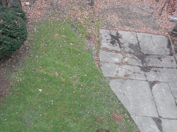 Rear Parking