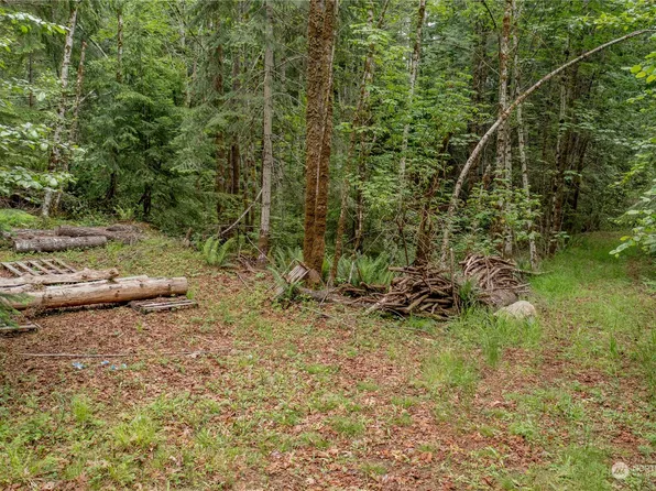 1 N Dow Ridge Road, Hoodsport, WA 98548