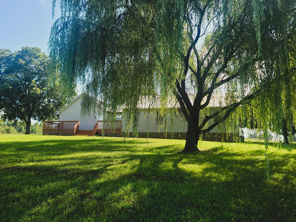Enjoy beautiful sunsets and views of pastures and woods from the back deck and master bedroom - 53 Newsome Sinks Rd