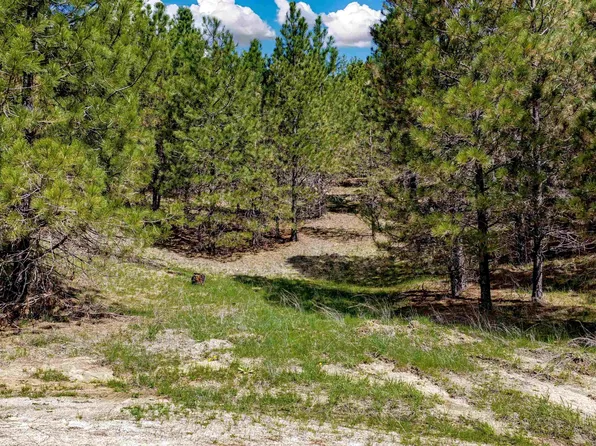 Trails End Way, Boise, ID 83716