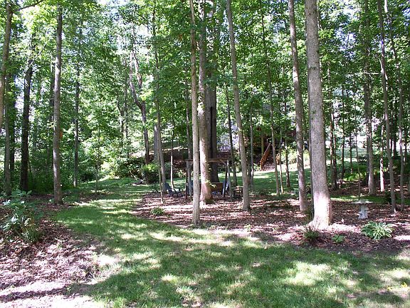 back yard from the creek