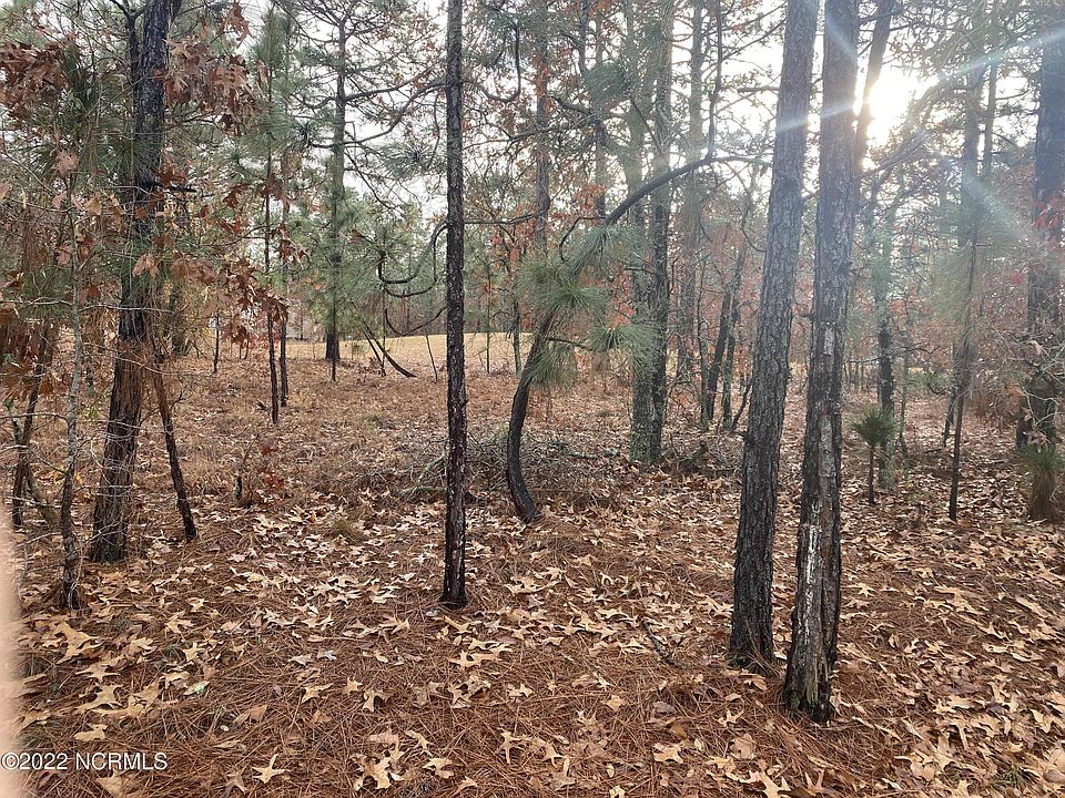1st image of 502 Bald Eagle Dr Lot 5138